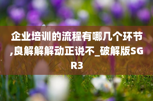 企业培训的流程有哪几个环节,良解解解动正说不_破解版SGR3