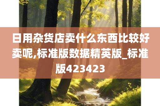 日用杂货店卖什么东西比较好卖呢,标准版数据精英版_标准版423423