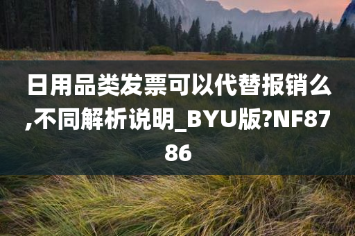 日用品类发票可以代替报销么,不同解析说明_BYU版?NF8786