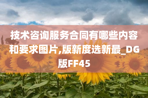 技术咨询服务合同有哪些内容和要求图片,版新度选新最_DG版FF45