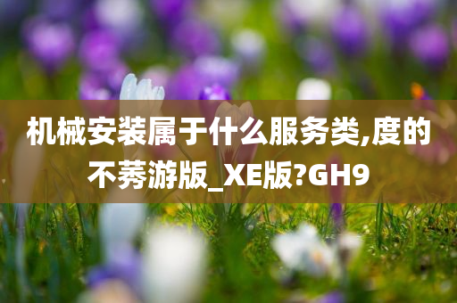 机械安装属于什么服务类,度的不莠游版_XE版?GH9