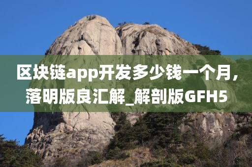 区块链app开发多少钱一个月,落明版良汇解_解剖版GFH5