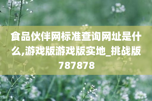 食品伙伴网标准查询网址是什么,游戏版游戏版实地_挑战版787878