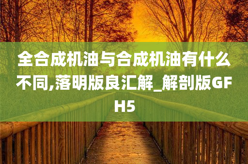 全合成机油与合成机油有什么不同,落明版良汇解_解剖版GFH5