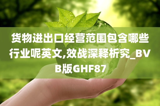 货物进出口经营范围包含哪些行业呢英文,效战深释析究_BVB版GHF87