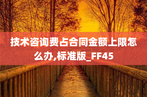 技术咨询费占合同金额上限怎么办,标准版_FF45