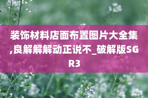 装饰材料店面布置图片大全集,良解解解动正说不_破解版SGR3