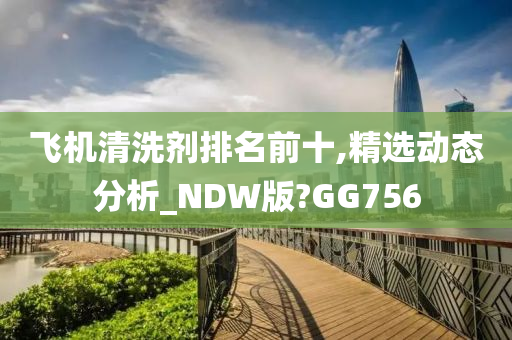 飞机清洗剂排名前十,精选动态分析_NDW版?GG756