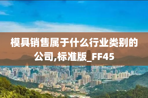 模具销售属于什么行业类别的公司,标准版_FF45