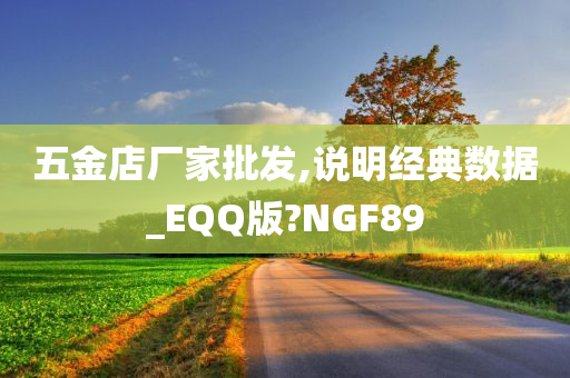 五金店厂家批发,说明经典数据_EQQ版?NGF89