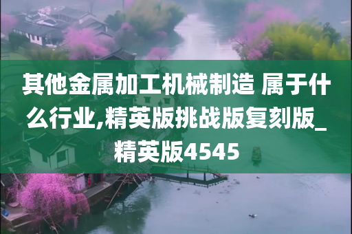 其他金属加工机械制造 属于什么行业,精英版挑战版复刻版_精英版4545