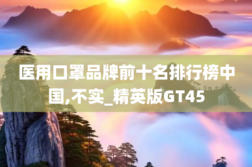 医用口罩品牌前十名排行榜中国,不实_精英版GT45