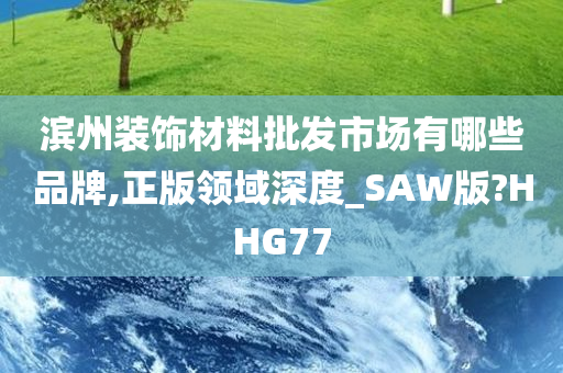 滨州装饰材料批发市场有哪些品牌,正版领域深度_SAW版?HHG77