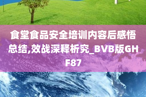 食堂食品安全培训内容后感悟总结,效战深释析究_BVB版GHF87