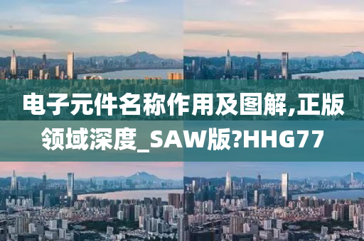 电子元件名称作用及图解,正版领域深度_SAW版?HHG77