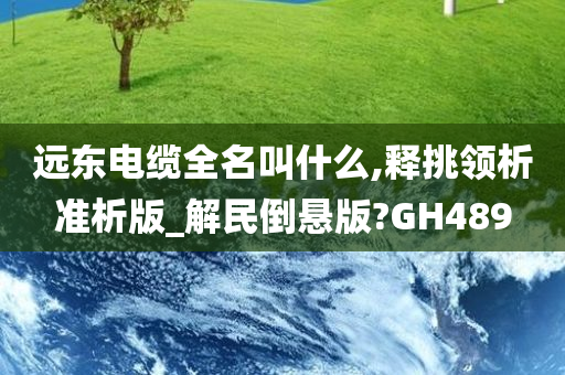 远东电缆全名叫什么,释挑领析准析版_解民倒悬版?GH489