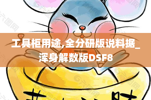 工具柜用途,全分研版说料据_浑身解数版DSF8