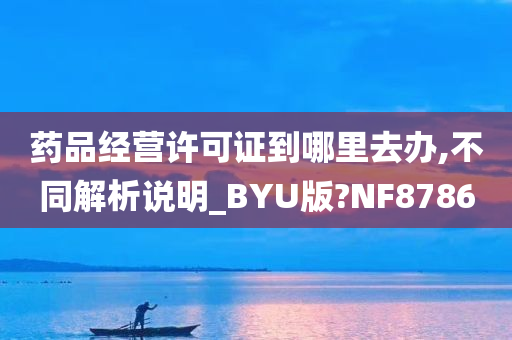 药品经营许可证到哪里去办,不同解析说明_BYU版?NF8786