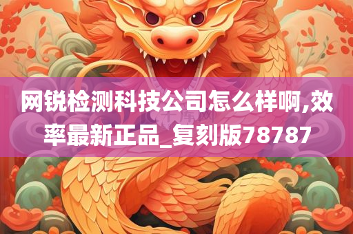 网锐检测科技公司怎么样啊,效率最新正品_复刻版78787