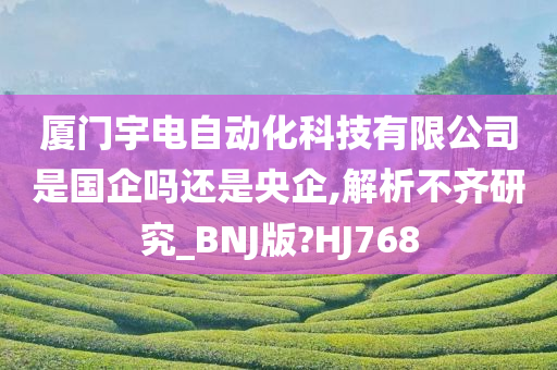 厦门宇电自动化科技有限公司是国企吗还是央企,解析不齐研究_BNJ版?HJ768