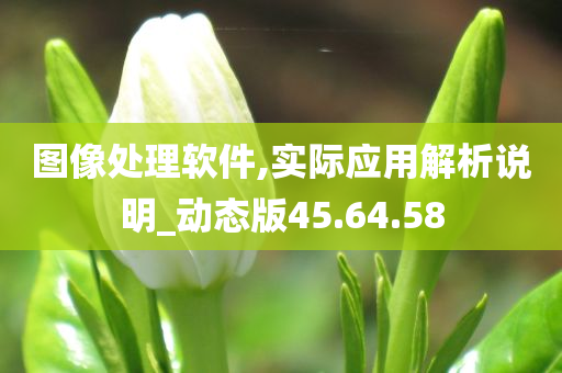 图像处理软件,实际应用解析说明_动态版45.64.58