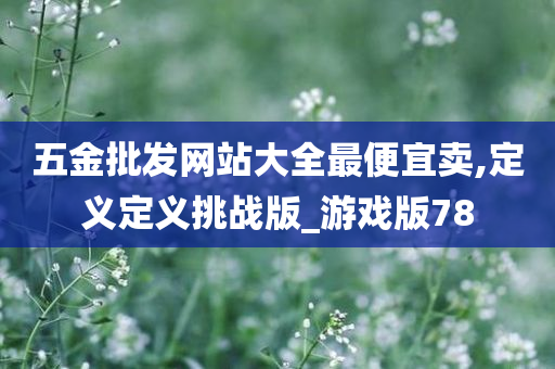 五金批发网站大全最便宜卖,定义定义挑战版_游戏版78