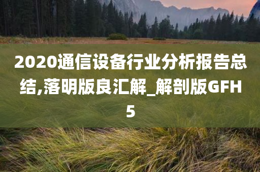 2020通信设备行业分析报告总结,落明版良汇解_解剖版GFH5