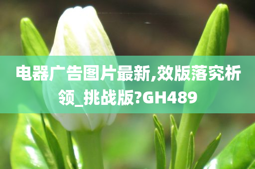 电器广告图片最新,效版落究析领_挑战版?GH489