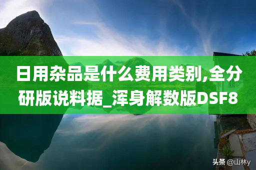 日用杂品是什么费用类别,全分研版说料据_浑身解数版DSF8