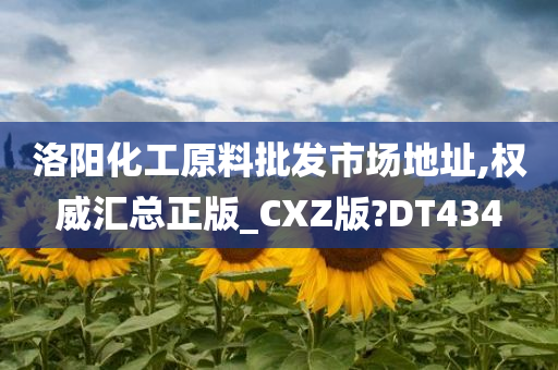 洛阳化工原料批发市场地址,权威汇总正版_CXZ版?DT434