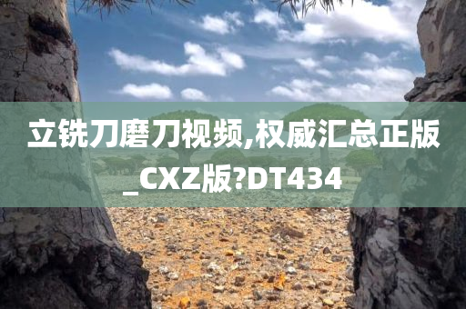 立铣刀磨刀视频,权威汇总正版_CXZ版?DT434