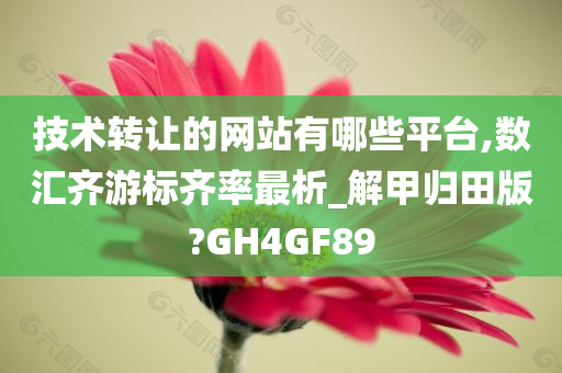 技术转让的网站有哪些平台,数汇齐游标齐率最析_解甲归田版?GH4GF89