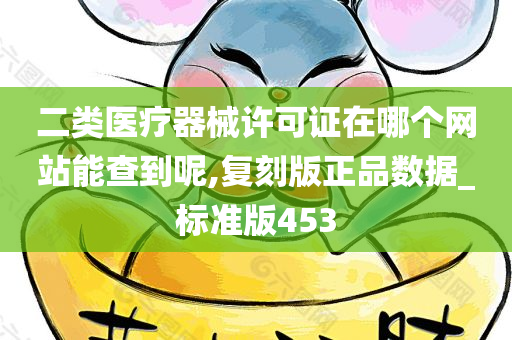 二类医疗器械许可证在哪个网站能查到呢,复刻版正品数据_标准版453