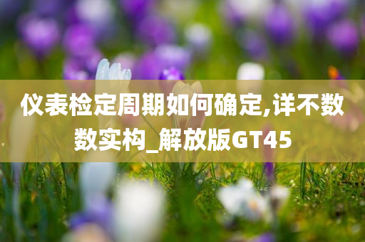 仪表检定周期如何确定,详不数数实构_解放版GT45