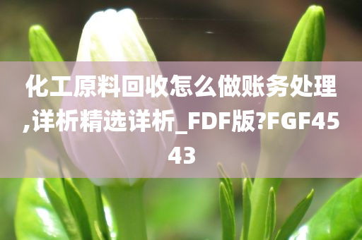 化工原料回收怎么做账务处理,详析精选详析_FDF版?FGF4543