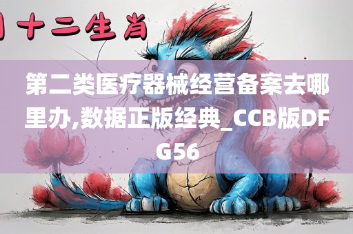 第二类医疗器械经营备案去哪里办,数据正版经典_CCB版DFG56