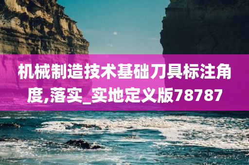 机械制造技术基础刀具标注角度,落实_实地定义版78787