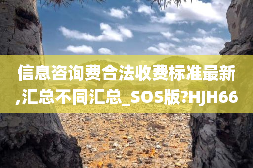 信息咨询费合法收费标准最新,汇总不同汇总_SOS版?HJH66