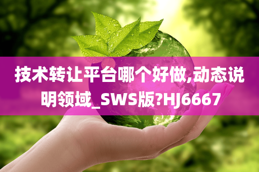 技术转让平台哪个好做,动态说明领域_SWS版?HJ6667