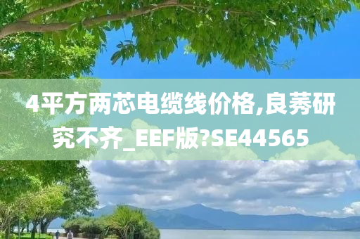 4平方两芯电缆线价格,良莠研究不齐_EEF版?SE44565