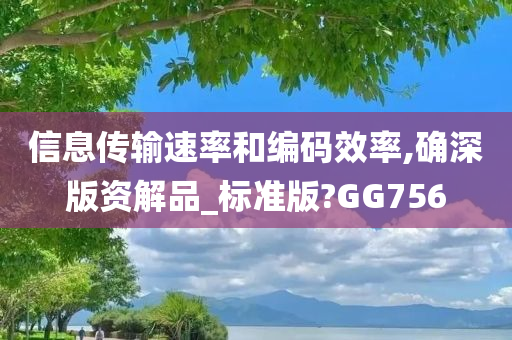 信息传输速率和编码效率,确深版资解品_标准版?GG756