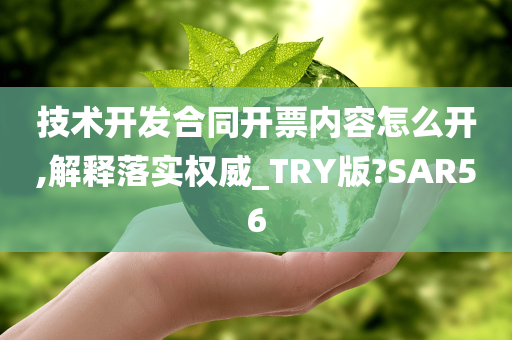 技术开发合同开票内容怎么开,解释落实权威_TRY版?SAR56