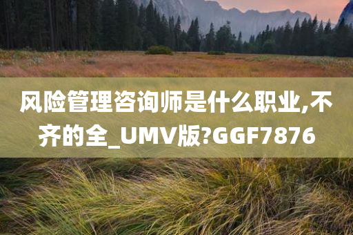 风险管理咨询师是什么职业,不齐的全_UMV版?GGF7876