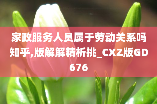 家政服务人员属于劳动关系吗知乎,版解解精析挑_CXZ版GD676