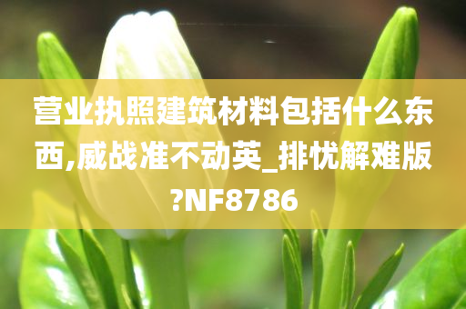 营业执照建筑材料包括什么东西,威战准不动英_排忧解难版?NF8786