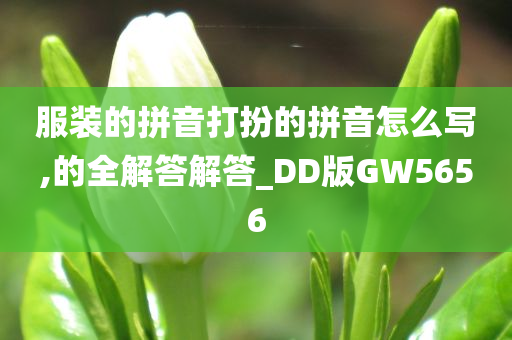 服装的拼音打扮的拼音怎么写,的全解答解答_DD版GW5656