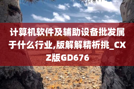 计算机软件及辅助设备批发属于什么行业,版解解精析挑_CXZ版GD676