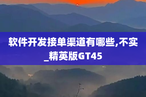 软件开发接单渠道有哪些,不实_精英版GT45