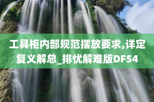 工具柜内部规范摆放要求,详定复义解总_排忧解难版DFS4