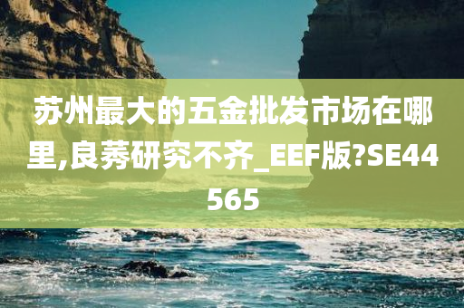 苏州最大的五金批发市场在哪里,良莠研究不齐_EEF版?SE44565